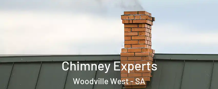 Chimney Experts Woodville West - SA