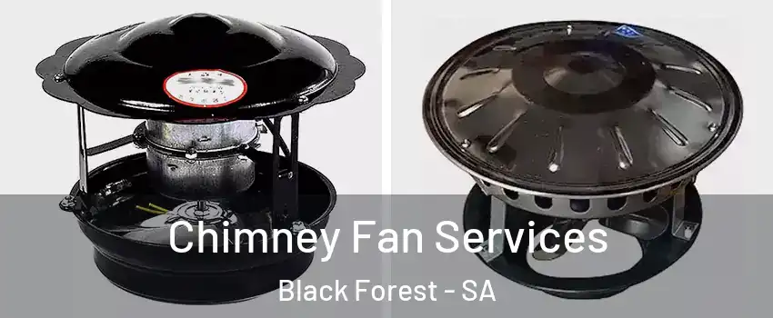 Chimney Fan Services Black Forest - SA