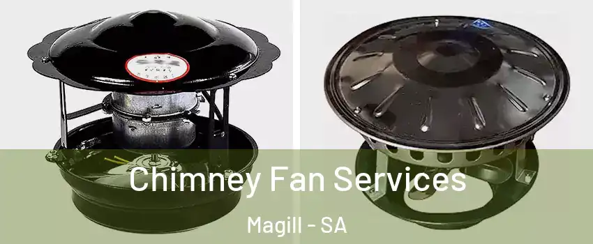 Chimney Fan Services Magill - SA