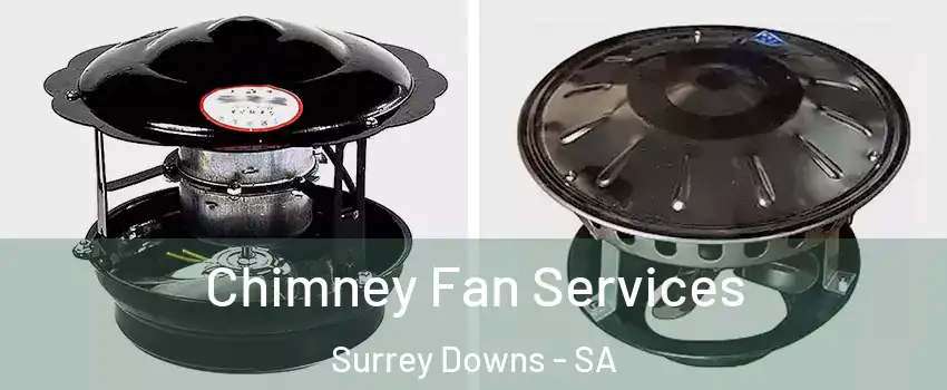 Chimney Fan Services Surrey Downs - SA
