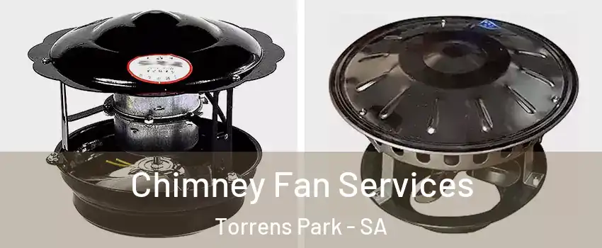 Chimney Fan Services Torrens Park - SA
