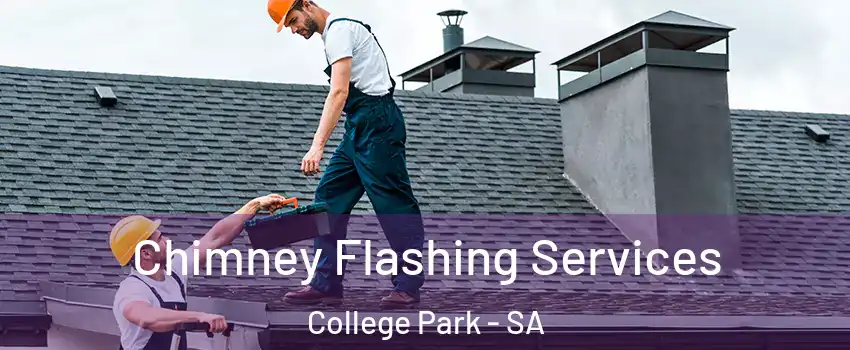  Chimney Flashing Services College Park - SA