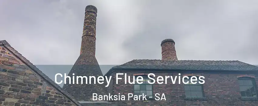  Chimney Flue Services Banksia Park - SA