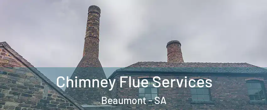 Chimney Flue Services Beaumont - SA