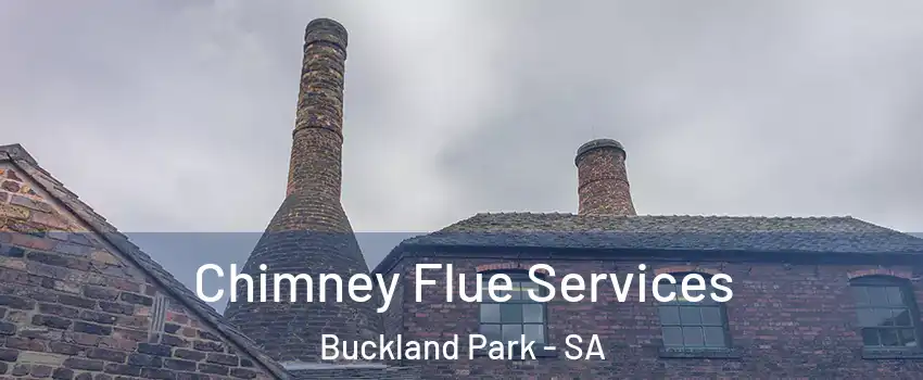  Chimney Flue Services Buckland Park - SA