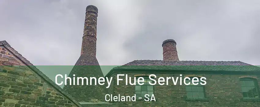 Chimney Flue Services Cleland - SA