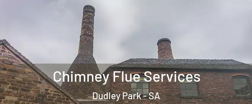  Chimney Flue Services Dudley Park - SA