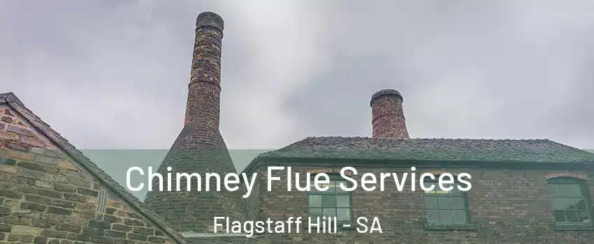 Chimney Flue Services Flagstaff Hill - SA