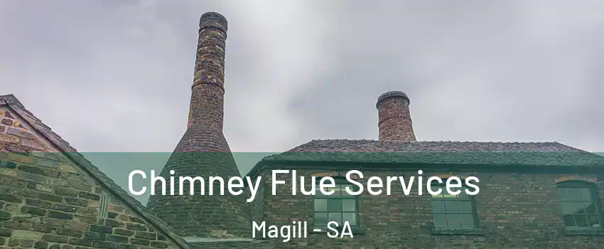 Chimney Flue Services Magill - SA