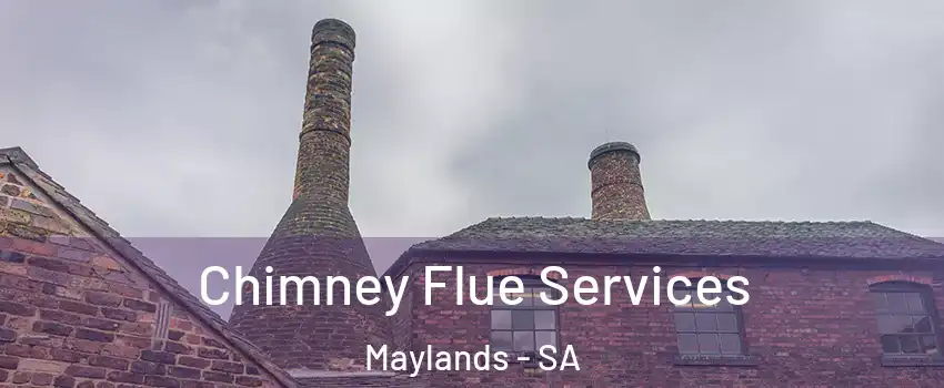  Chimney Flue Services Maylands - SA