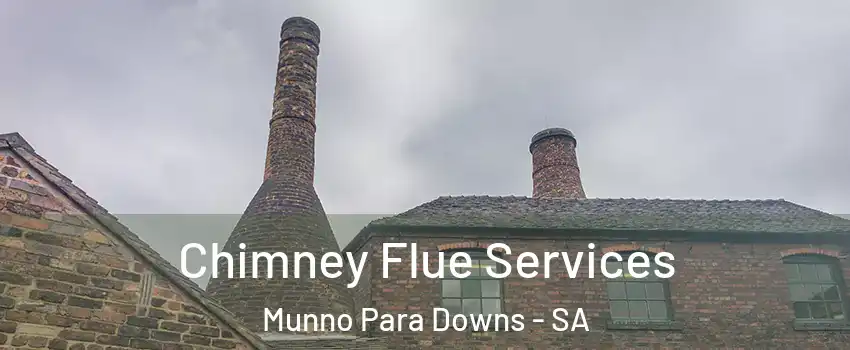 Chimney Flue Services Munno Para Downs - SA