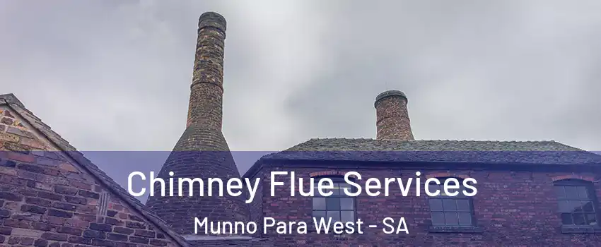 Chimney Flue Services Munno Para West - SA