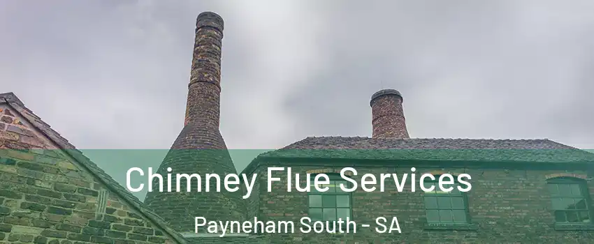 Chimney Flue Services Payneham South - SA