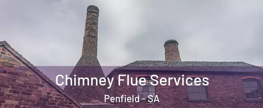 Chimney Flue Services Penfield - SA