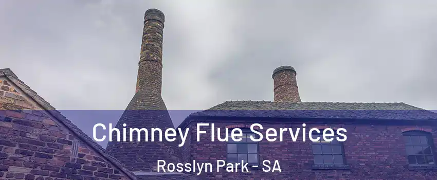 Chimney Flue Services Rosslyn Park - SA
