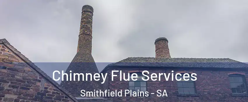 Chimney Flue Services Smithfield Plains - SA