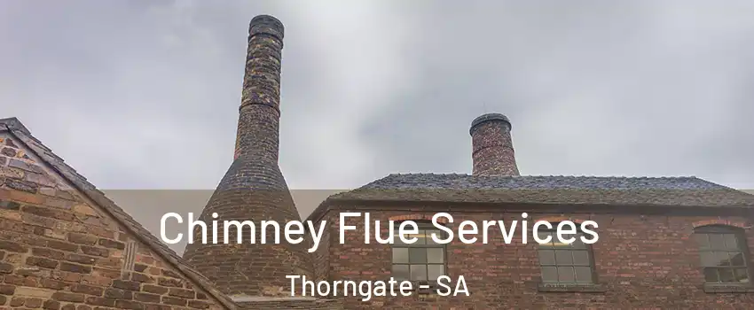 Chimney Flue Services Thorngate - SA