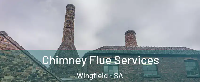 Chimney Flue Services Wingfield - SA