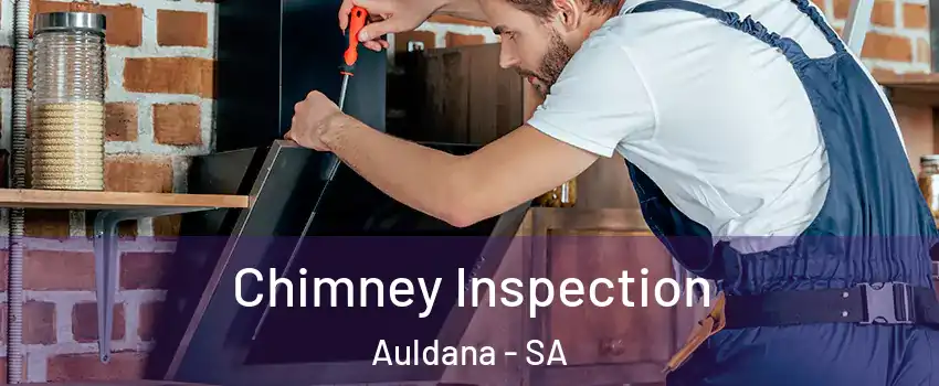 Chimney Inspection Auldana - SA