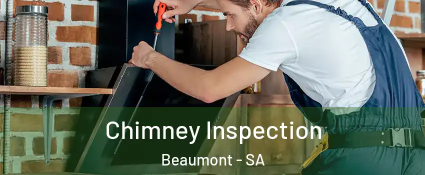 Chimney Inspection Beaumont - SA