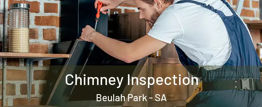 Chimney Inspection Beulah Park - SA