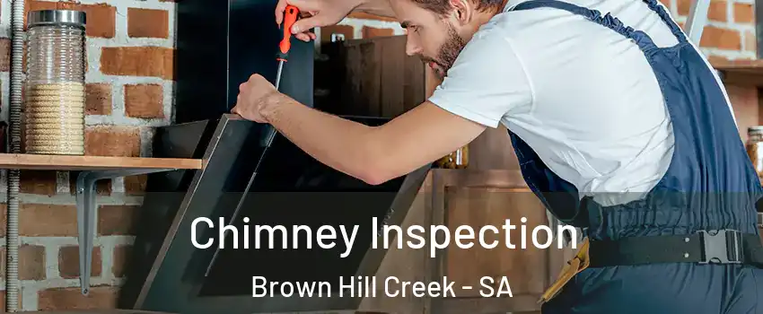Chimney Inspection Brown Hill Creek - SA