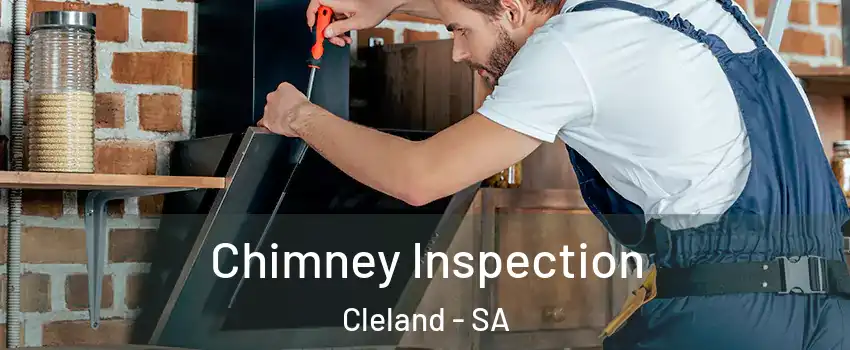 Chimney Inspection Cleland - SA