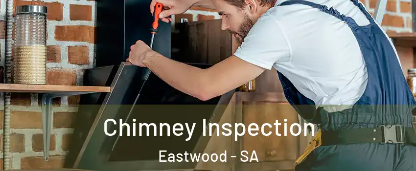 Chimney Inspection Eastwood - SA