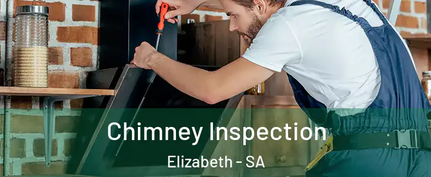 Chimney Inspection Elizabeth - SA