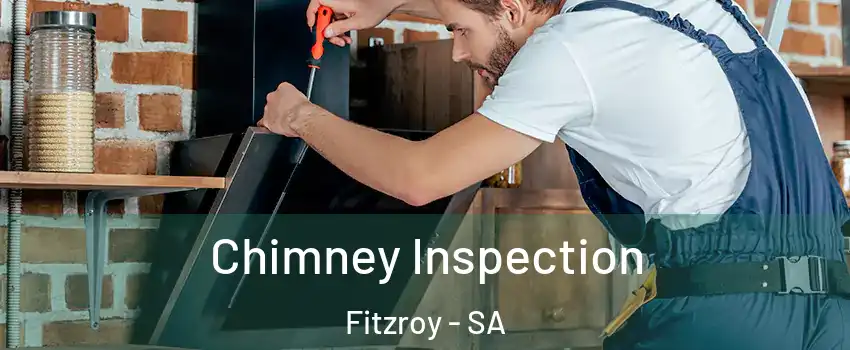 Chimney Inspection Fitzroy - SA