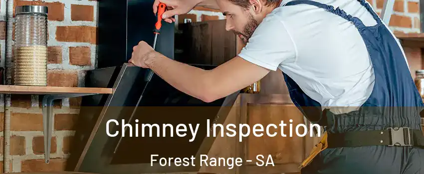 Chimney Inspection Forest Range - SA