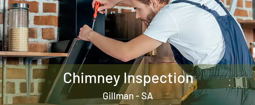 Chimney Inspection Gillman - SA
