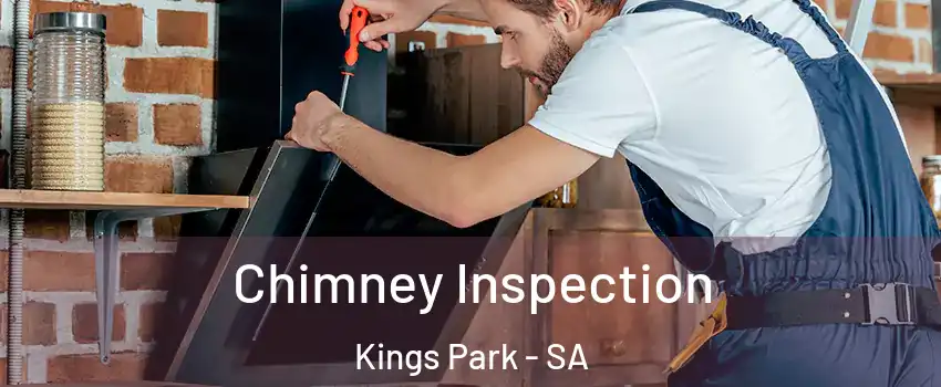  Chimney Inspection Kings Park - SA