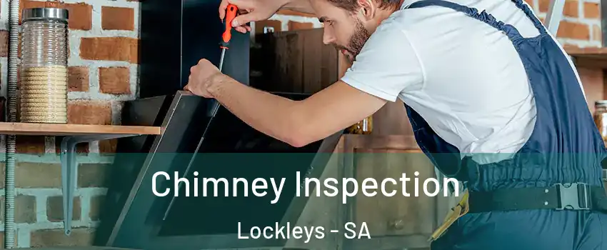 Chimney Inspection Lockleys - SA