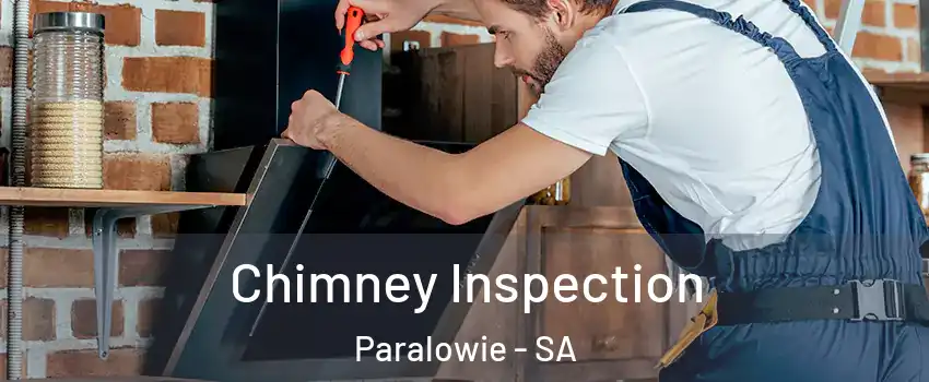  Chimney Inspection Paralowie - SA