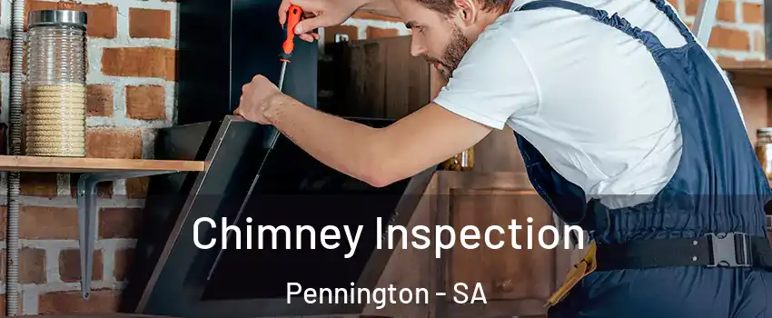 Chimney Inspection Pennington - SA