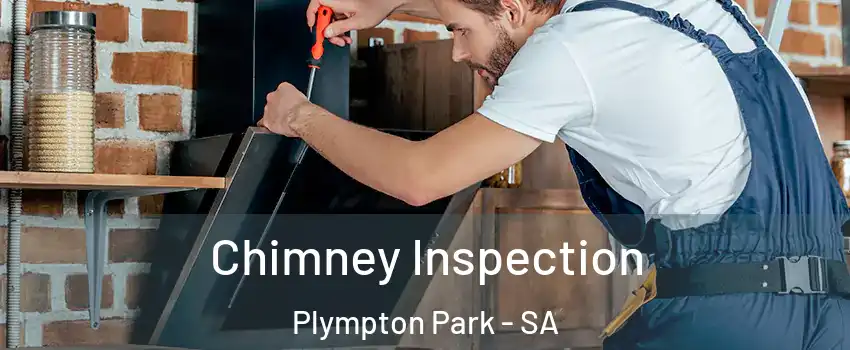 Chimney Inspection Plympton Park - SA