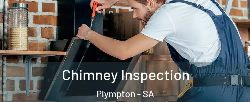 Chimney Inspection Plympton - SA