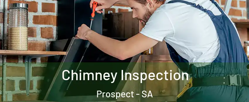 Chimney Inspection Prospect - SA