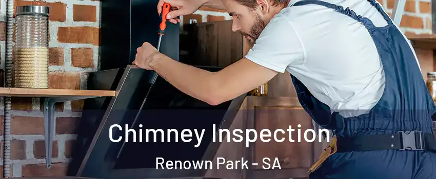  Chimney Inspection Renown Park - SA