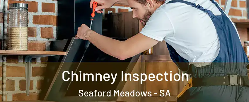 Chimney Inspection Seaford Meadows - SA