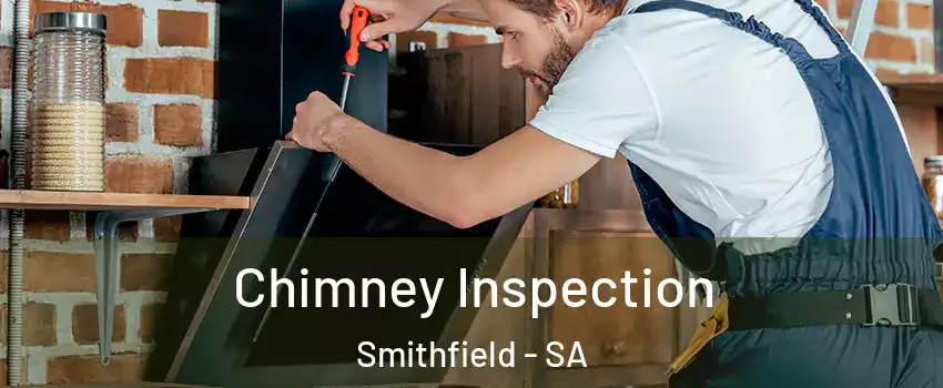 Chimney Inspection Smithfield - SA