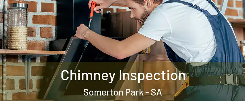 Chimney Inspection Somerton Park - SA