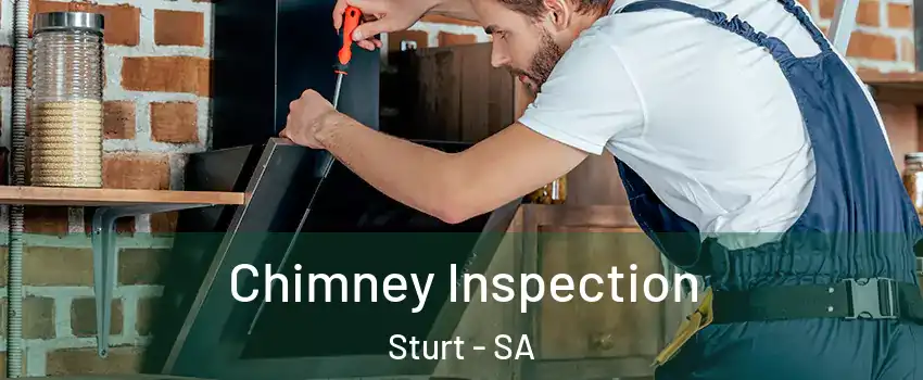 Chimney Inspection Sturt - SA