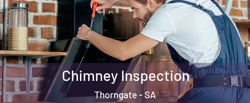 Chimney Inspection Thorngate - SA
