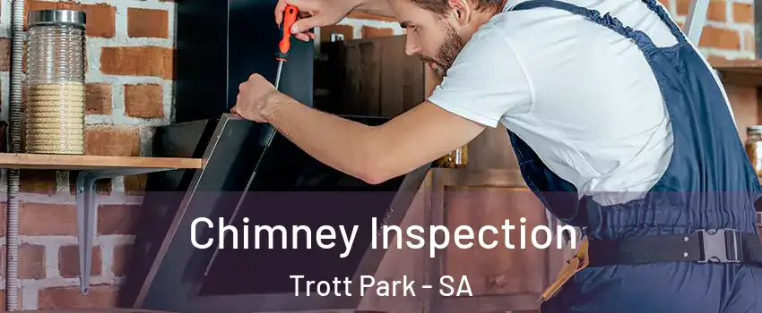 Chimney Inspection Trott Park - SA