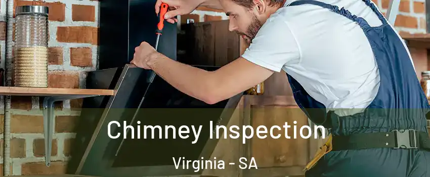  Chimney Inspection Virginia - SA