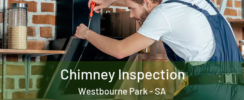  Chimney Inspection Westbourne Park - SA