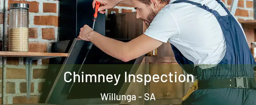 Chimney Inspection Willunga - SA