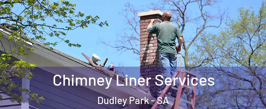 Chimney Liner Services Dudley Park - SA